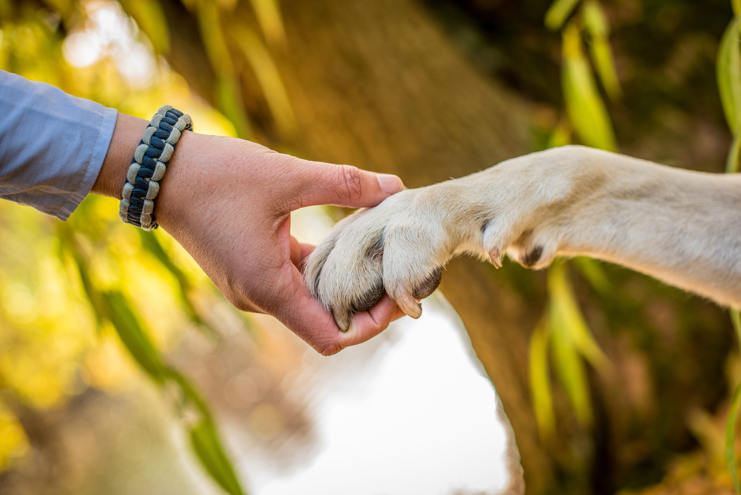 Sarah & Spike Hand zu Pfote